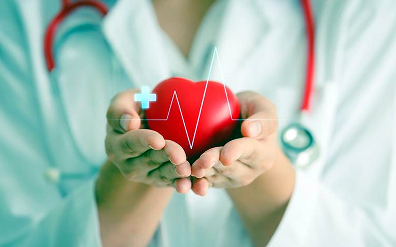 Cardiologia